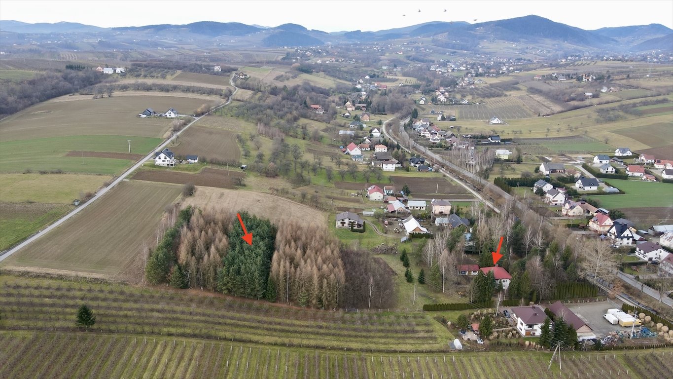 Działka budowlana na sprzedaż Świdnik  13 700m2 Foto 9