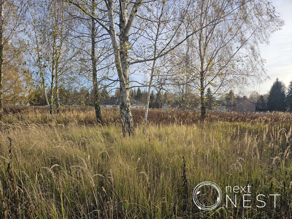 Działka 4461 m2 pod zabudowę jednorodzinną i deweloperską Siedliska, Francuska  4 461m2 Foto 1