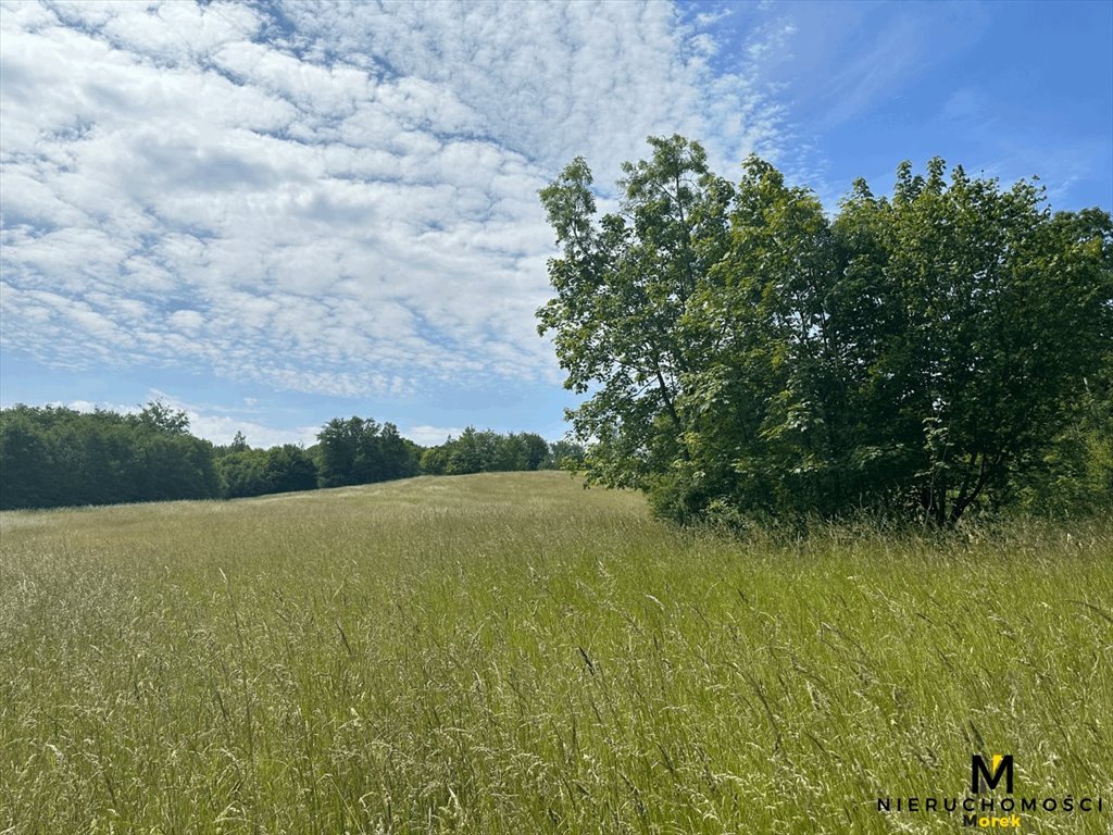Malownicza działka 119 847 m2 z lasem i łąkami - blisko Kołobrzegu Sianożęty, Kukinka  119 847m2 Foto 1