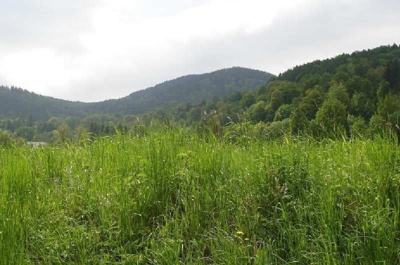 Działka budowlana na sprzedaż Sosnówka, Szkolna  1 865m2 Foto 8