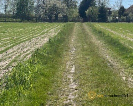 Działka rolna na sprzedaż Grędzina  10 000m2 Foto 3