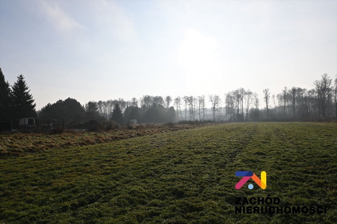 Działki budowlane w Płotach z mediami i decyzją o zabudowie Płoty  869m2 Foto 1