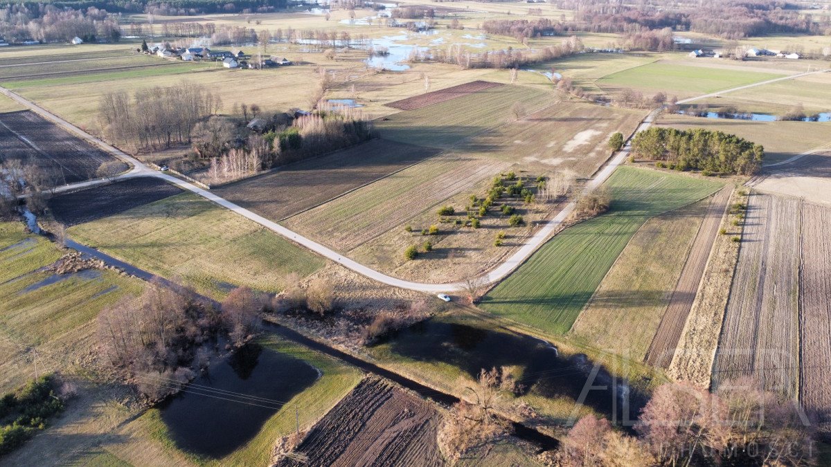 Działka budowlana na sprzedaż Grądy Szlacheckie  9 800m2 Foto 7