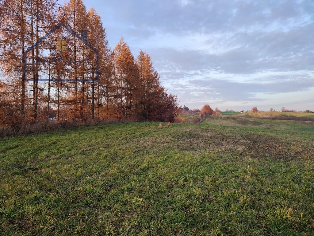 Sprzedam działki rolne 4,03 ha w Mostkowie - inwestycja lub rozbudowa: Mostkowo