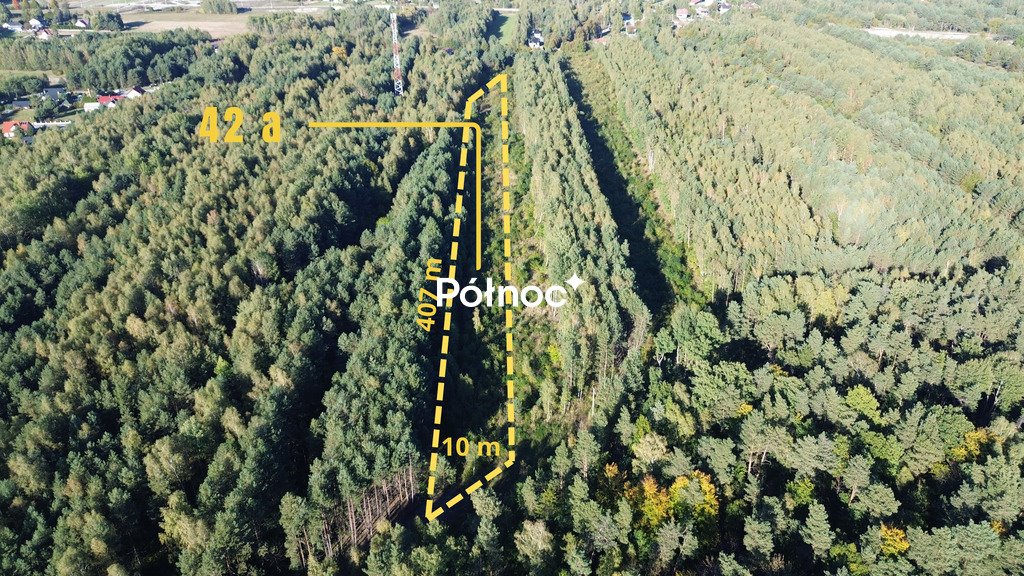Sprzedam działkę leśną 42 ar w Bogorii z dostępem do drogi Bogoria  4 200m2 Foto 1