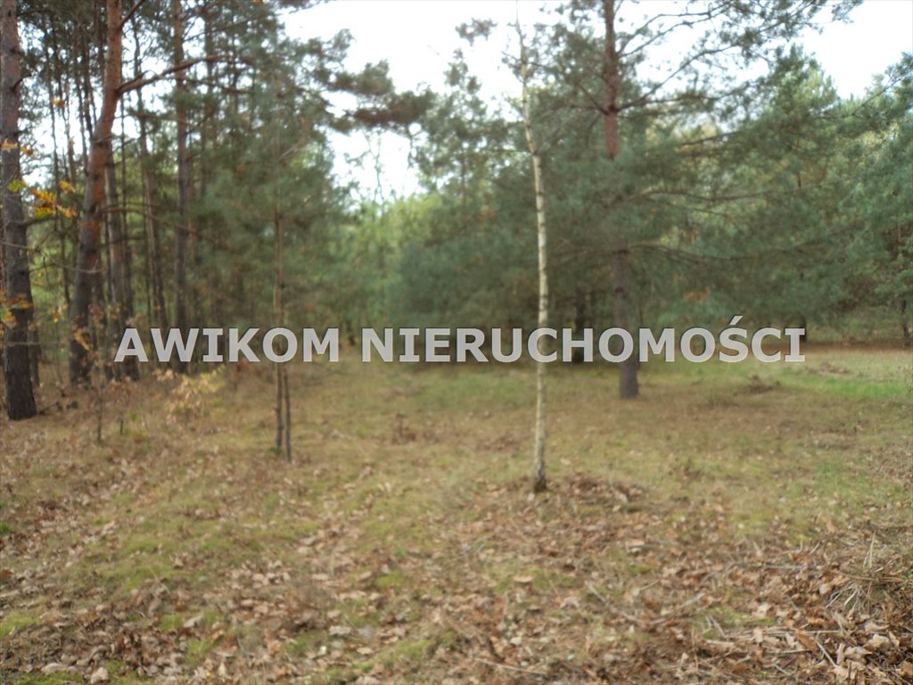 Działka budowlana na sprzedaż Zboiska  2 000m2 Foto 1