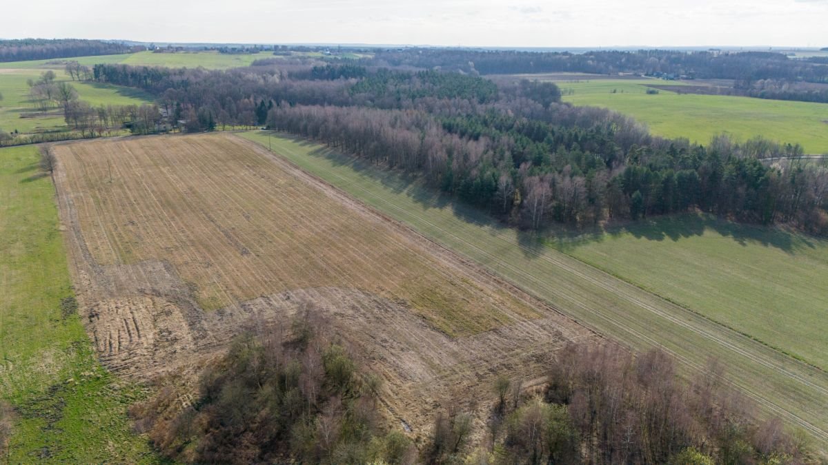 Działka rekreacyjna na sprzedaż Woźniki, Czarny Las, Czarny Las  14 911m2 Foto 6