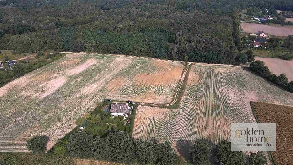 Działka budowlana na sprzedaż Grzebienisko, Świerkowa  2 555m2 Foto 10