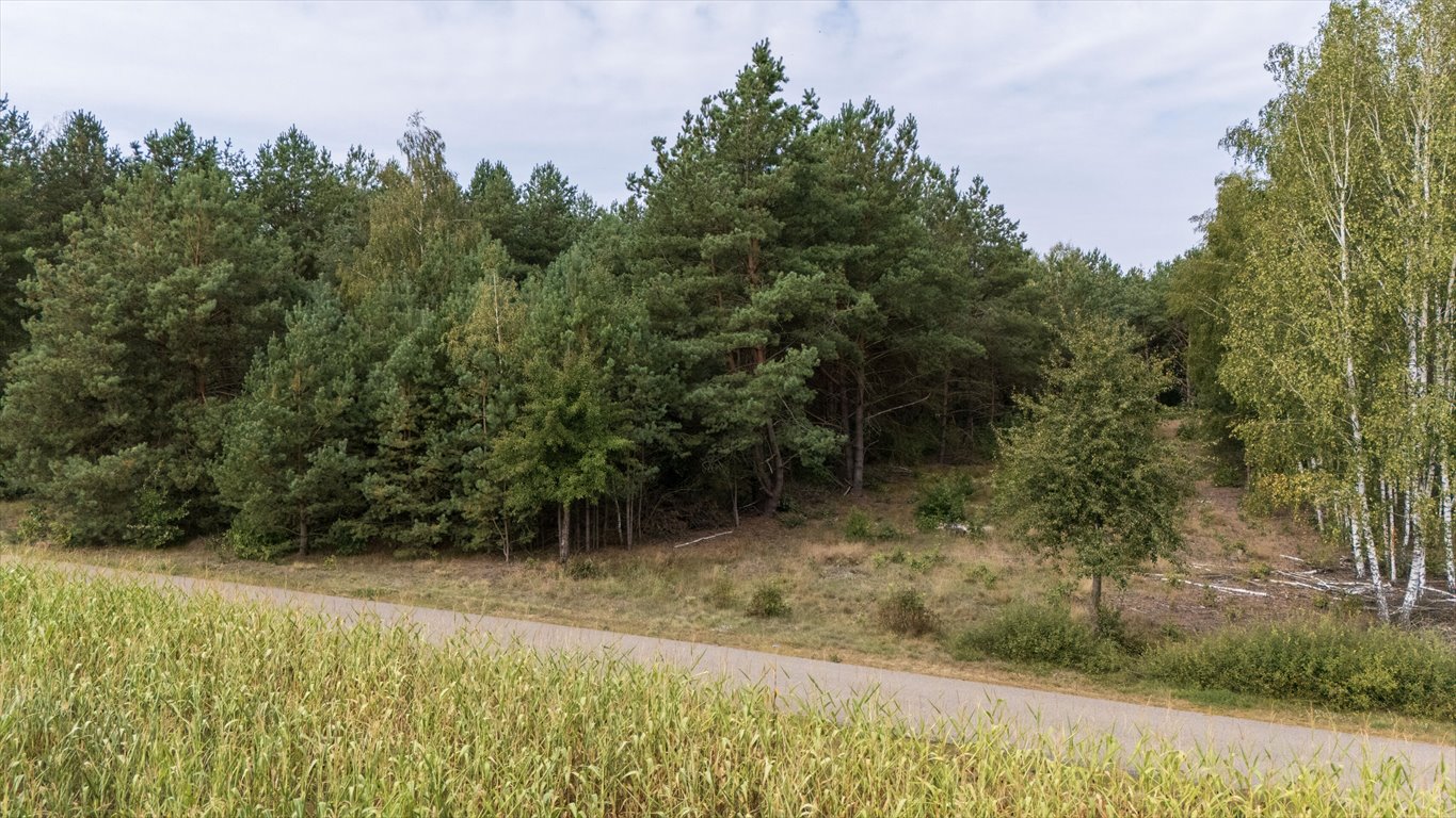 Działka budowlana na sprzedaż Wały  3 928m2 Foto 9