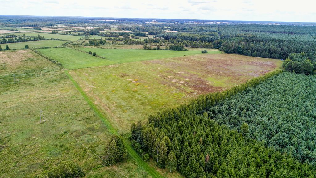 Działka inna na sprzedaż Kalitnik  3 000m2 Foto 10