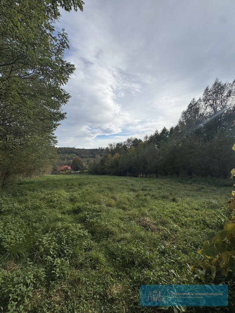 Działka budowlana na sprzedaż Kielnarowa  4 400m2 Foto 3