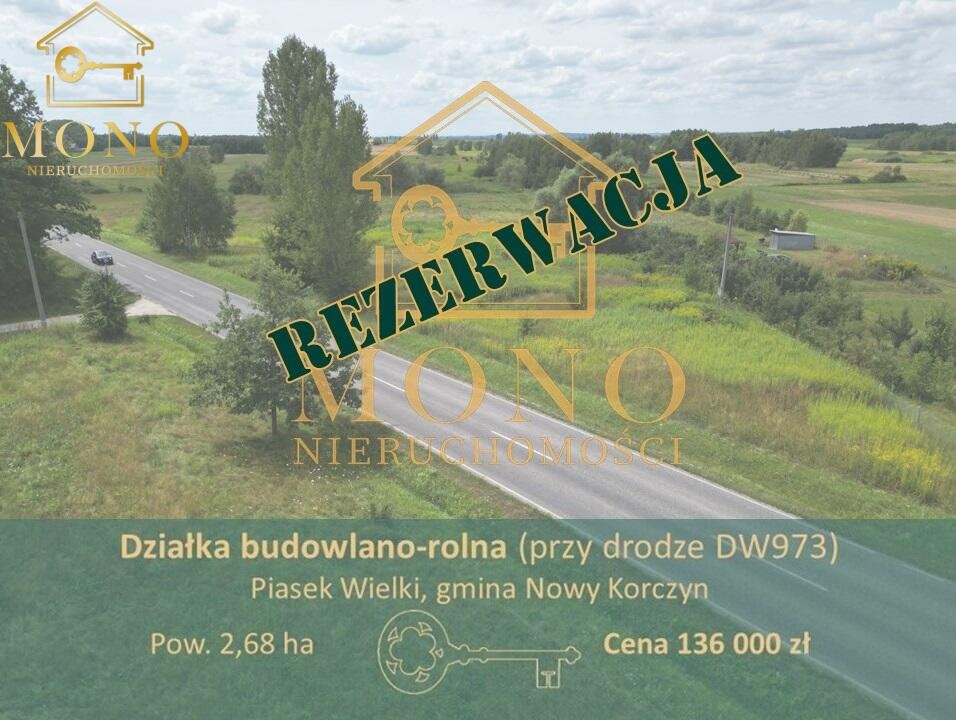 Działka budowlana na sprzedaż Piasek Wielki  26 800m2 Foto 1