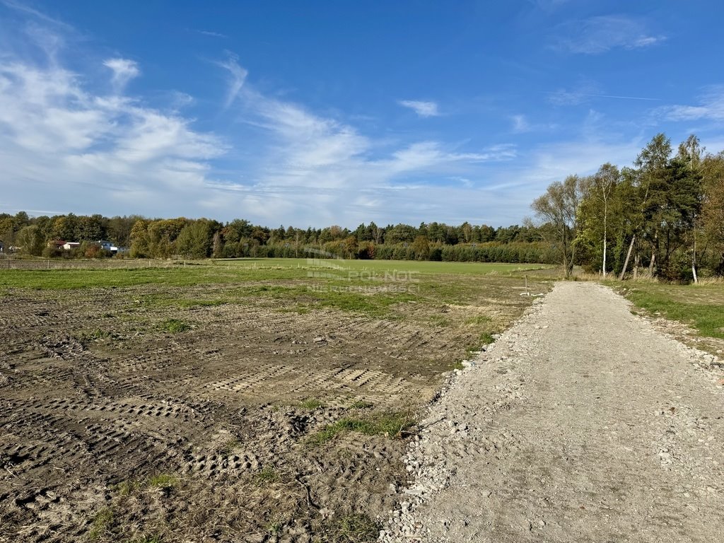 Działka budowlana na sprzedaż Czerwionka-Leszczyny  1 181m2 Foto 11