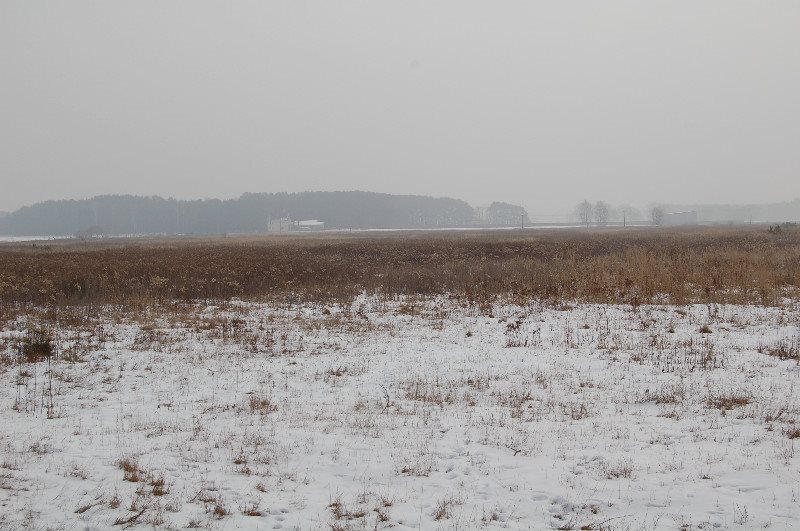 Działka rolna na sprzedaż Hetmanów 198 400m2 Foto 1 Działka rolna na sprzedaż Hetmanów 198 400m2 Foto 1