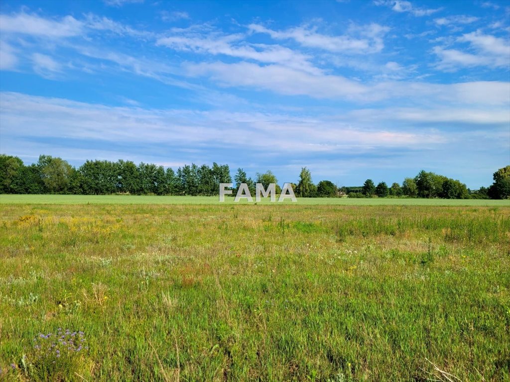 Działka budowlana na sprzedaż Baruchowo  1 000m2 Foto 7