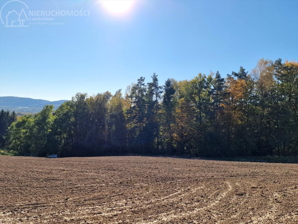 Działka budowlana na sprzedaż Błażkowa  2 200m2 Foto 4