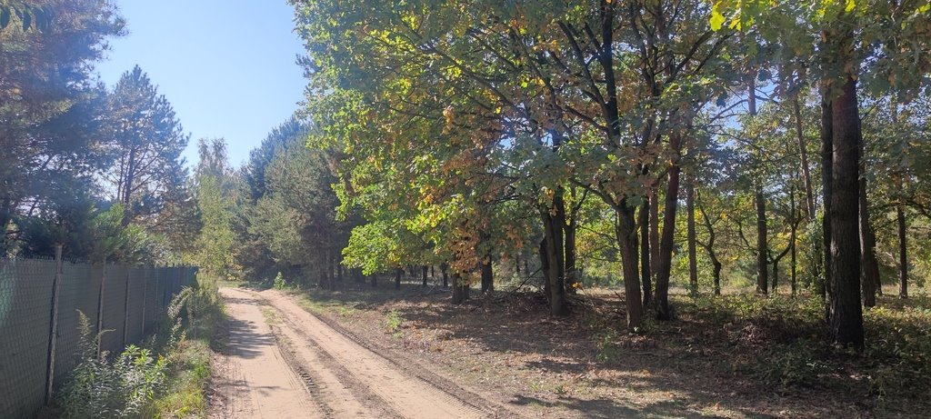 Działka budowlana na sprzedaż Marianów, aleja Kalinowa  3 000m2 Foto 4