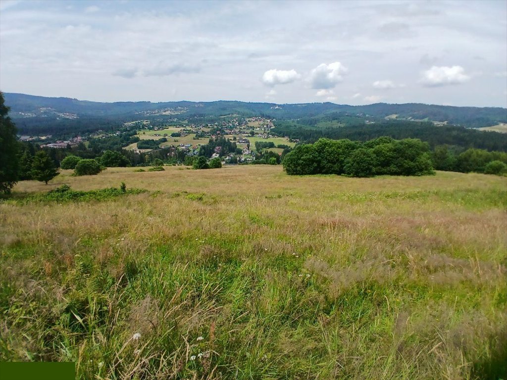 Działka inna na sprzedaż Istebna  1 700m2 Foto 3