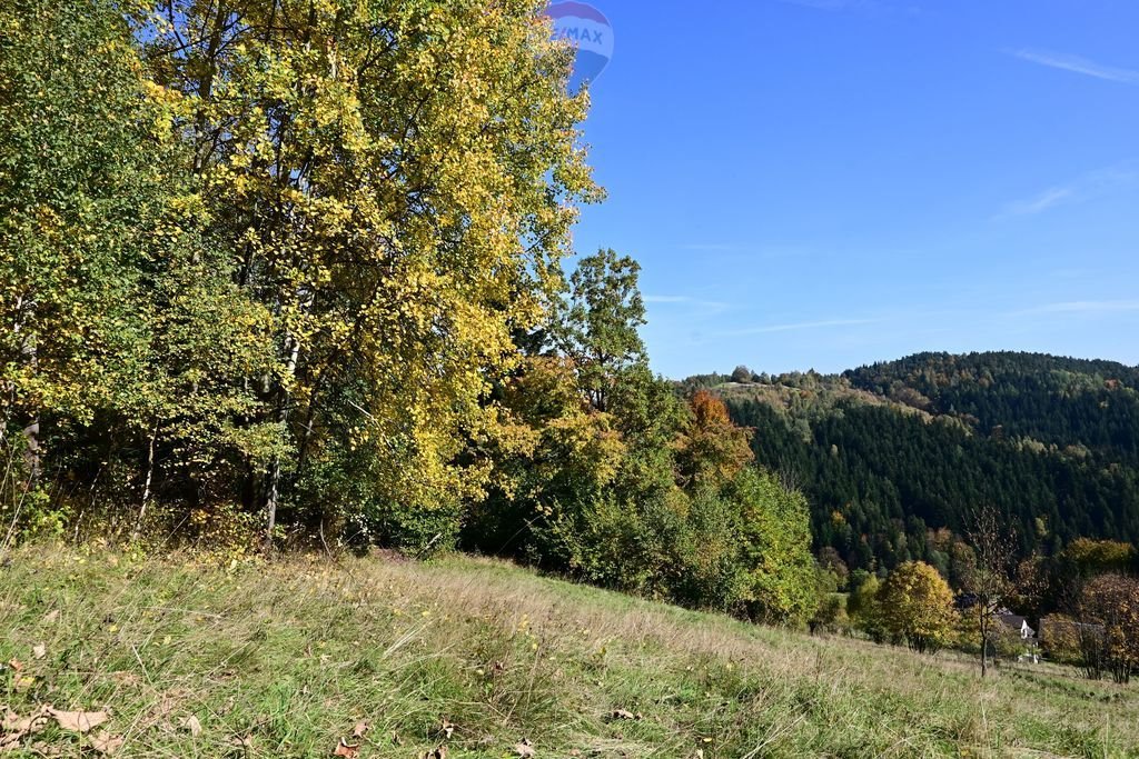 Działka budowlana na sprzedaż Kuków  6 070m2 Foto 5