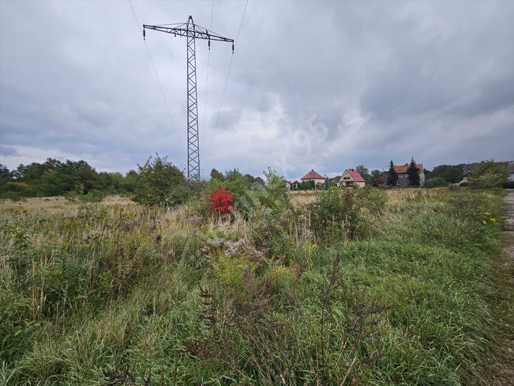 Działka budowlana na sprzedaż Wrocław, Żerniki, Osiniecka  3 711m2 Foto 3