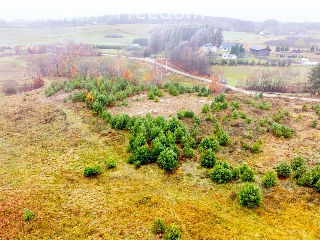 Działka budowlana na sprzedaż Czarna Huta, Szara  15 200m2 Foto 2