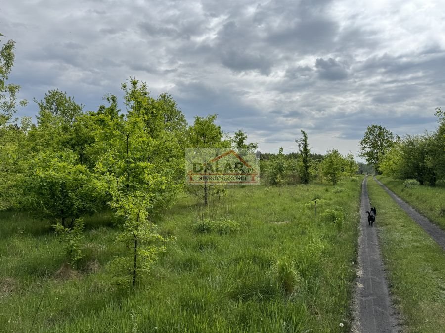 Działka budowlana na sprzedaż Kruszew  1 000m2 Foto 5