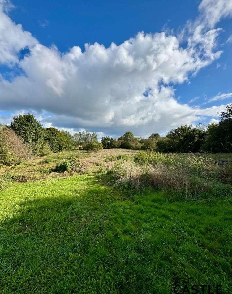 Działka budowlana na sprzedaż Gorzyno  5 800m2 Foto 9