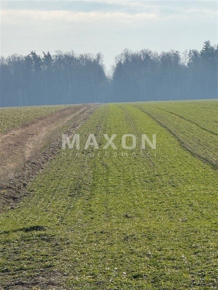 Dom na sprzedaż Orzeszówka  120m2 Foto 11