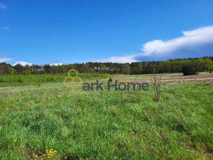 Działka przemysłowo-handlowa na sprzedaż Trzciel  15 100m2 Foto 4