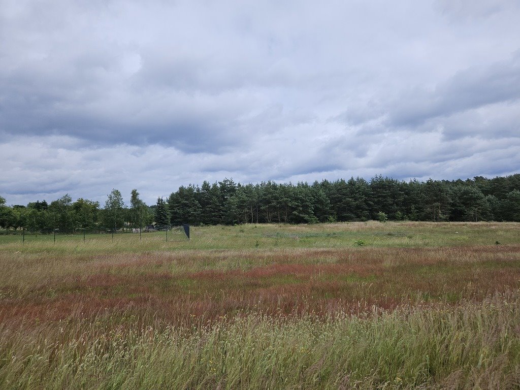 Działka budowlana na sprzedaż Klepin  1 204m2 Foto 10