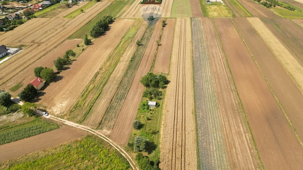 Działka budowlana na sprzedaż Krzysztoforzyce  5 500m2 Foto 11