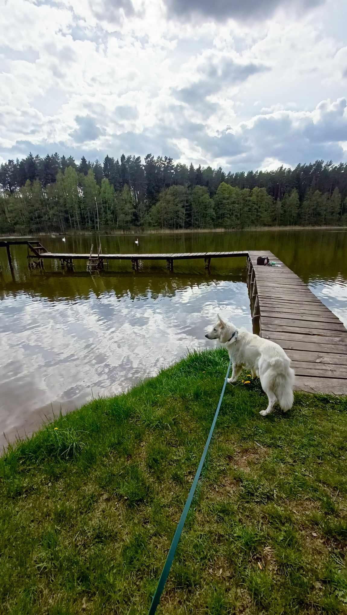 Działka budowlana na sprzedaż Jeleniowo  718m2 Foto 5