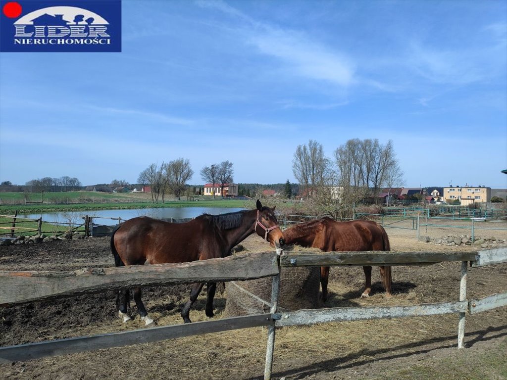 Lokal użytkowy na sprzedaż Rusinowo  58 000m2 Foto 10