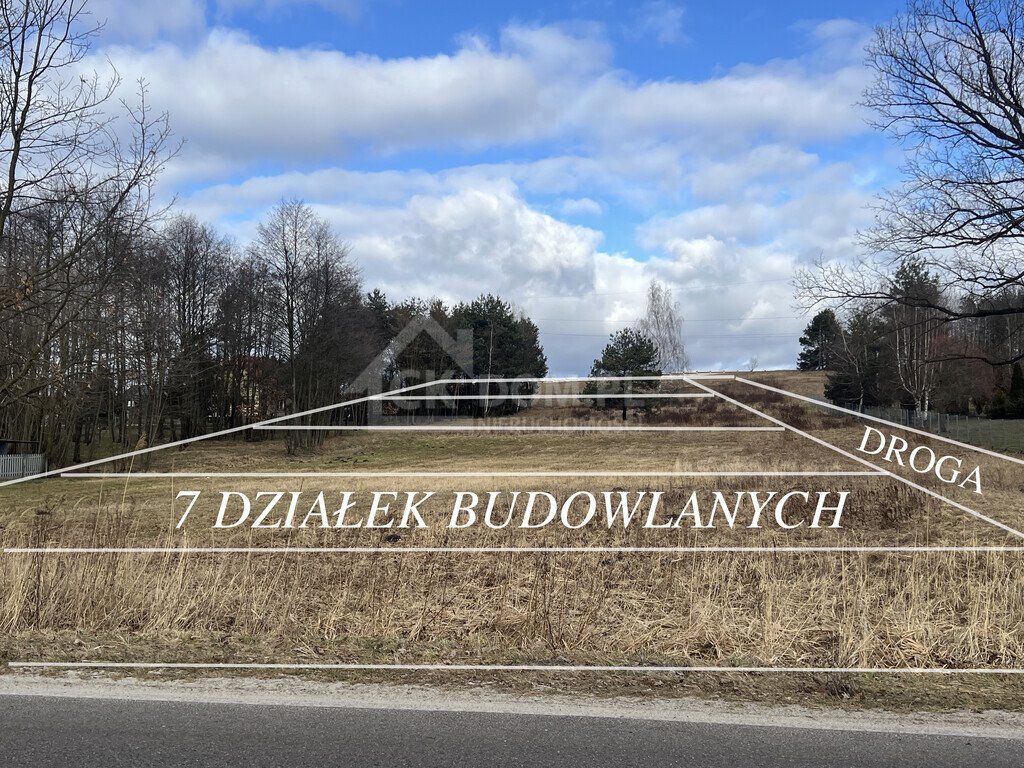 Działka 1 ha w Rytwianach pod inwestycję, podział na 7 działek Rytwiany  10 000m2 Foto 1