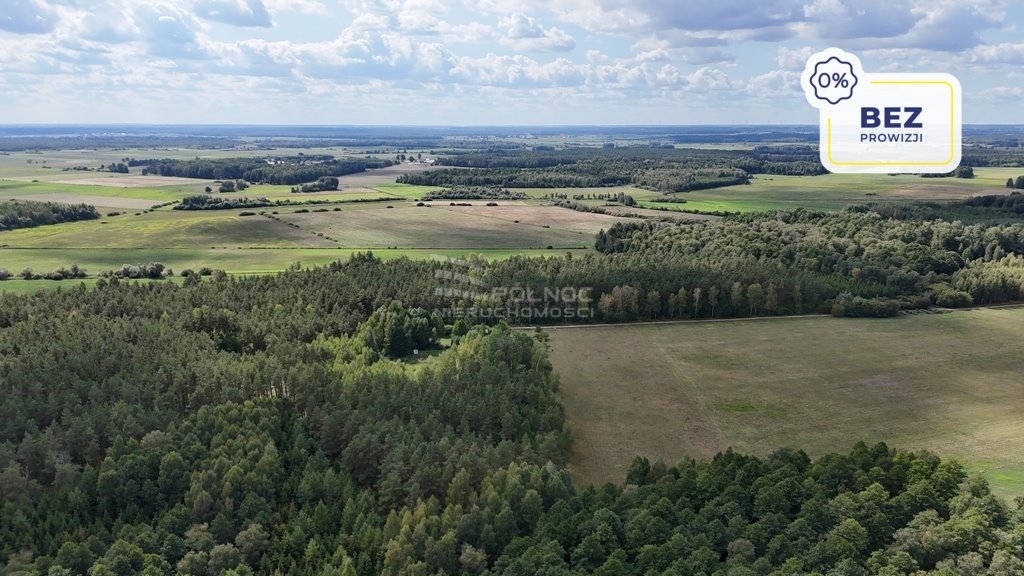 Działka leśna na sprzedaż Pieńczykowo  118 093m2 Foto 1