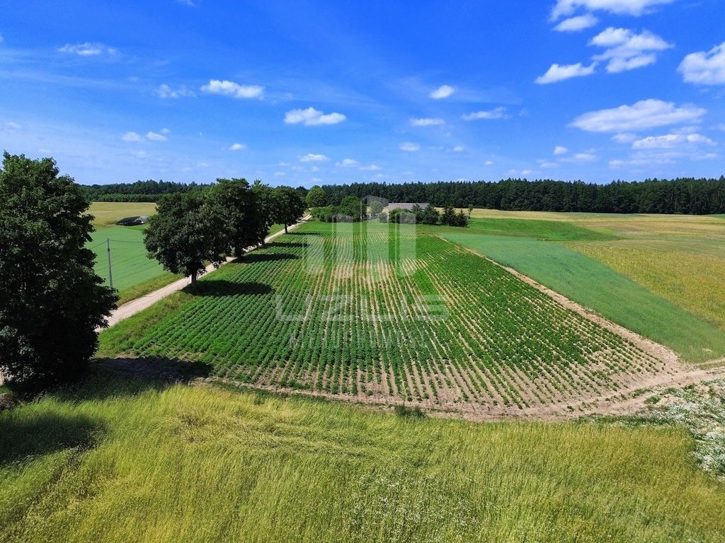 Działka budowlana na sprzedaż Pogódki  1 100m2 Foto 9