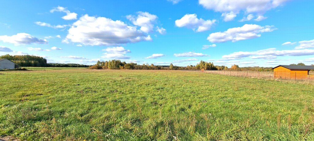 Działka inna na sprzedaż Brzeźnica Książęca  3 000m2 Foto 6