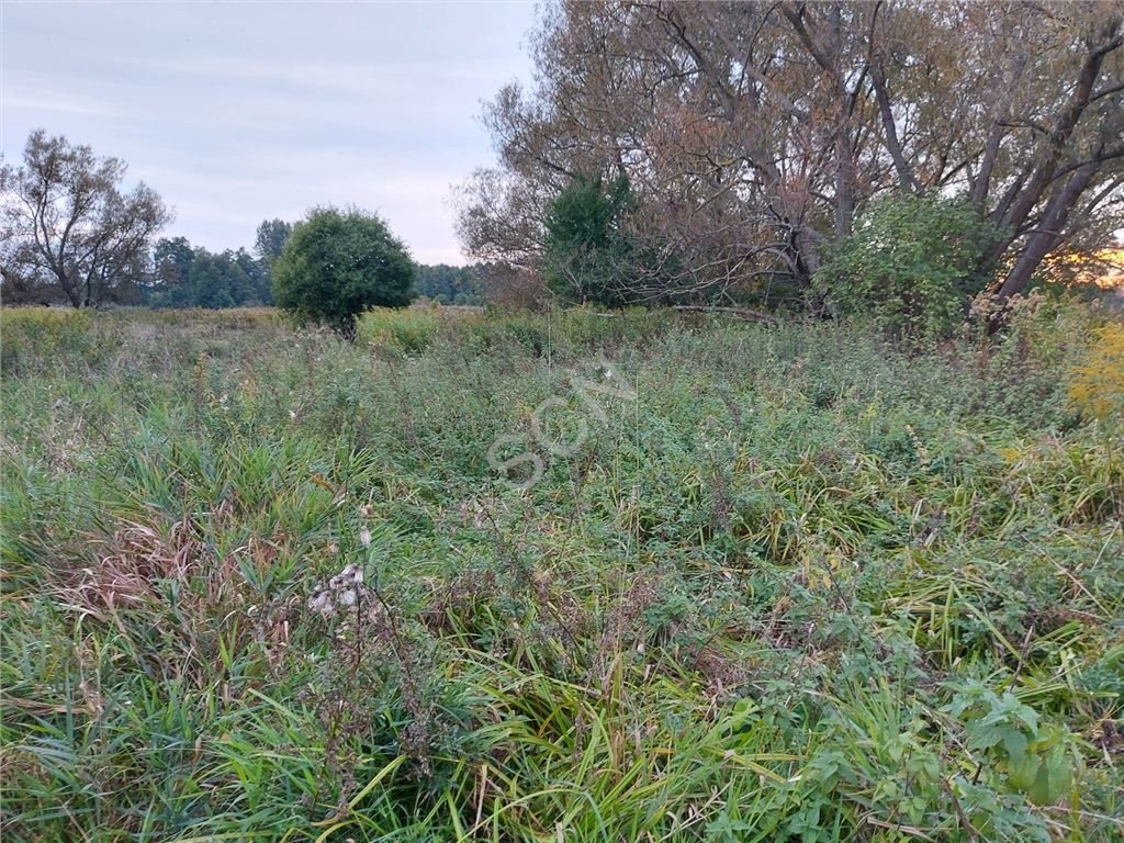 Działka budowlana na sprzedaż Duchnów  1 000m2 Foto 8