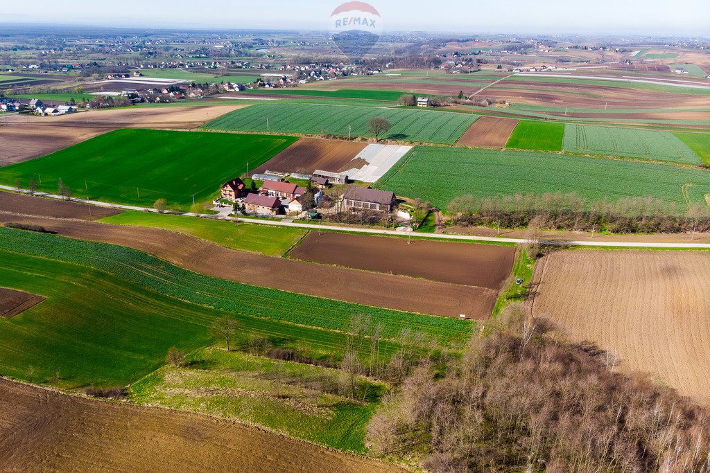 Działka rolna na sprzedaż Sierosławice  3 300m2 Foto 8