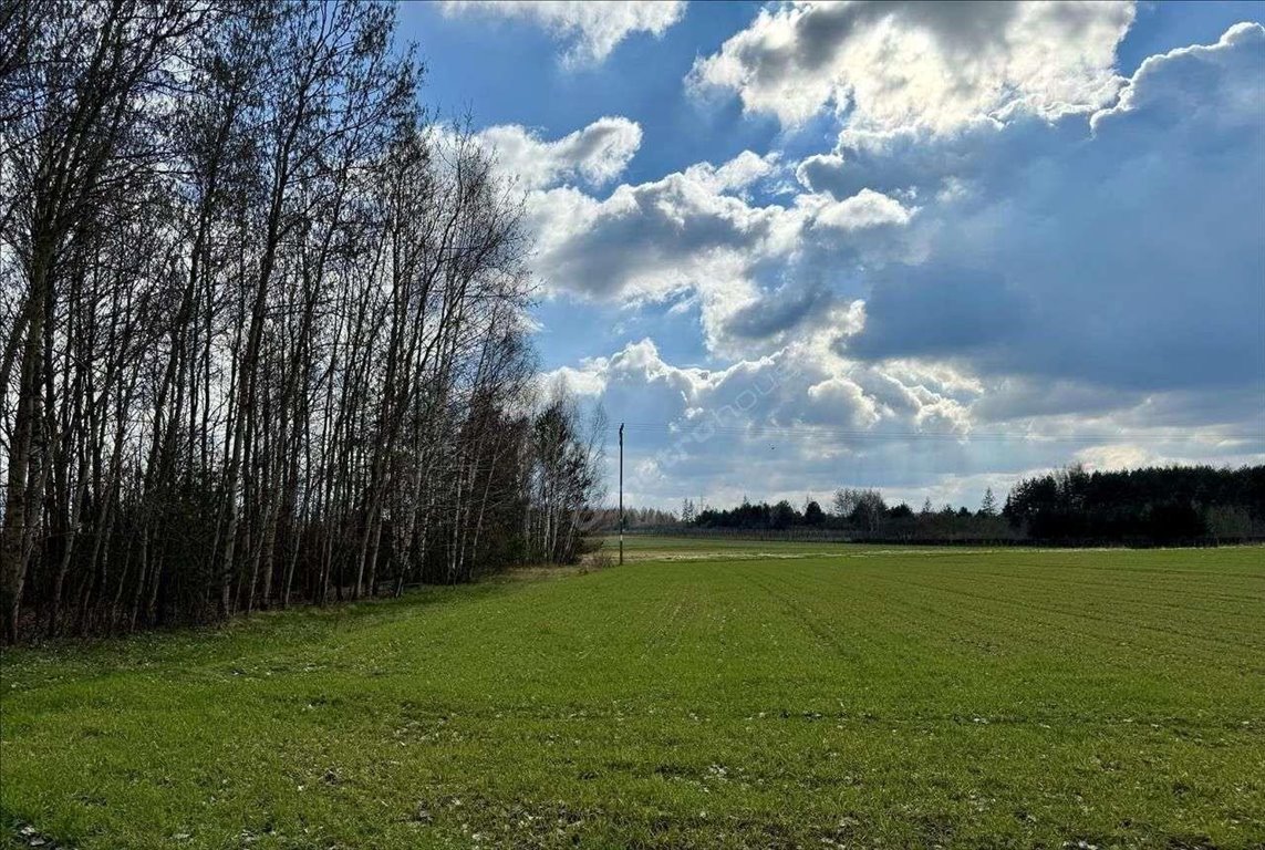 Działka budowlana na sprzedaż Kotorydz  18 659m2 Foto 1