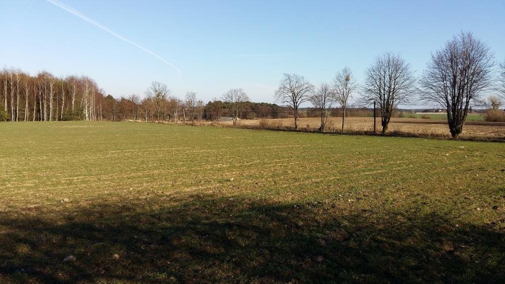 Działka inna na sprzedaż Ostroróg, Wielonek  3 846m2 Foto 1