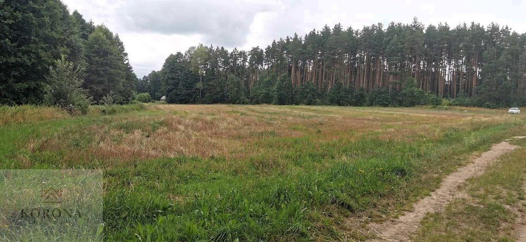 Działka rolna na sprzedaż Kudrycze  14 500m2 Foto 1