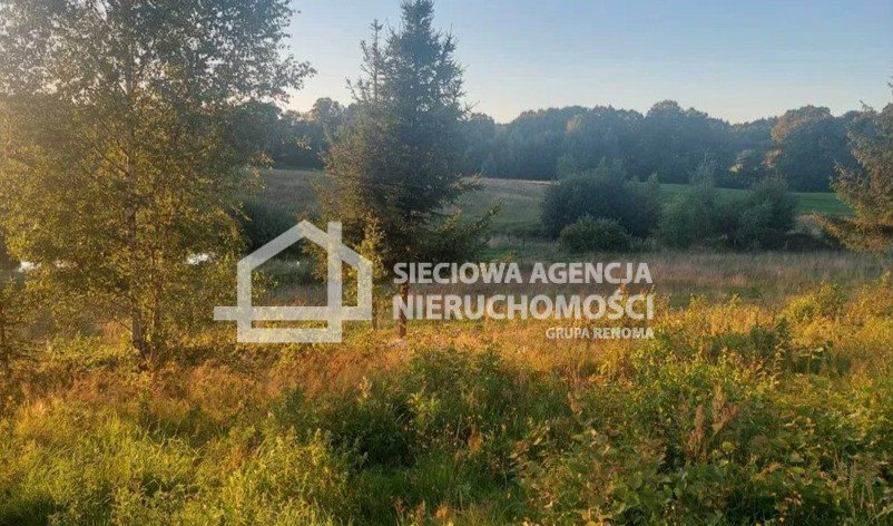 Działka budowlana na sprzedaż Klonowo Górne  3 987m2 Foto 6