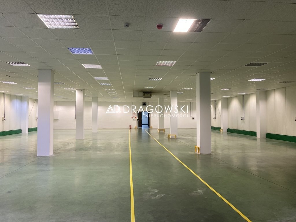 Magazyn na wynajem Piaseczno  1 600m2 Foto 4