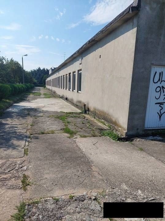 Działka inwestycyjna na sprzedaż Kutno, Józefów  7 471m2 Foto 5