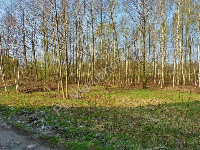 Działka budowlana na sprzedaż Otwock, Wólka Mlądzka 1 127m2 Foto 1 Działka budowlana na sprzedaż Otwock, Wólka Mlądzka 1 127m2 Foto 1