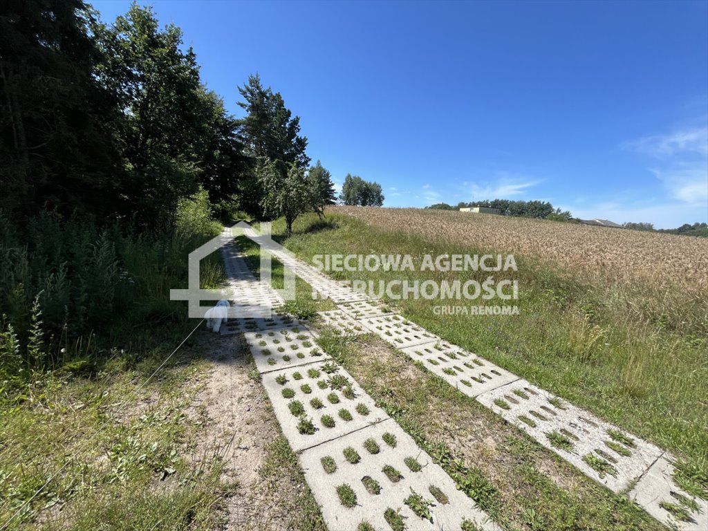 Działka rolna na sprzedaż Połęczyno  3 157m2 Foto 4