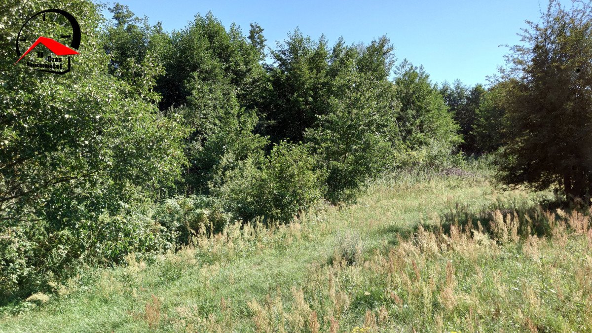 Działka gospodarstwo rolne na sprzedaż Góraj  15 062m2 Foto 4