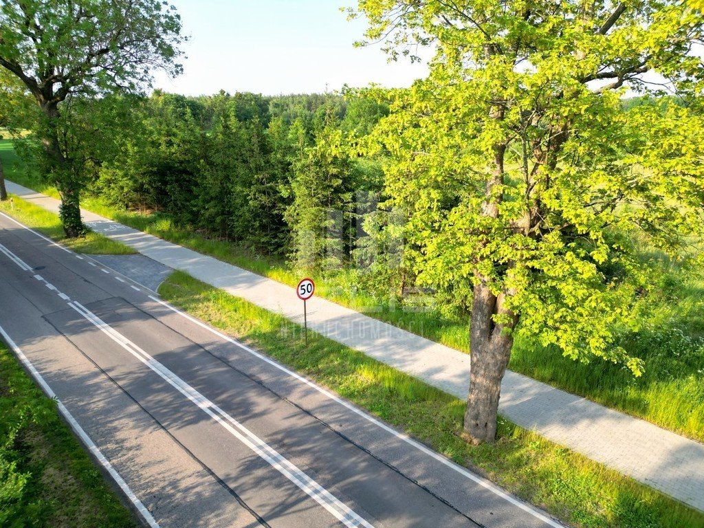 Działka budowlana na sprzedaż Bietowo  3 000m2 Foto 4