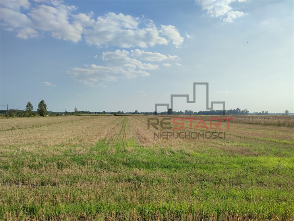 Działka rolna na sprzedaż Żuków  12 000m2 Foto 3